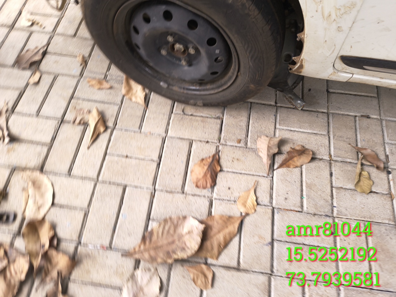 thumb