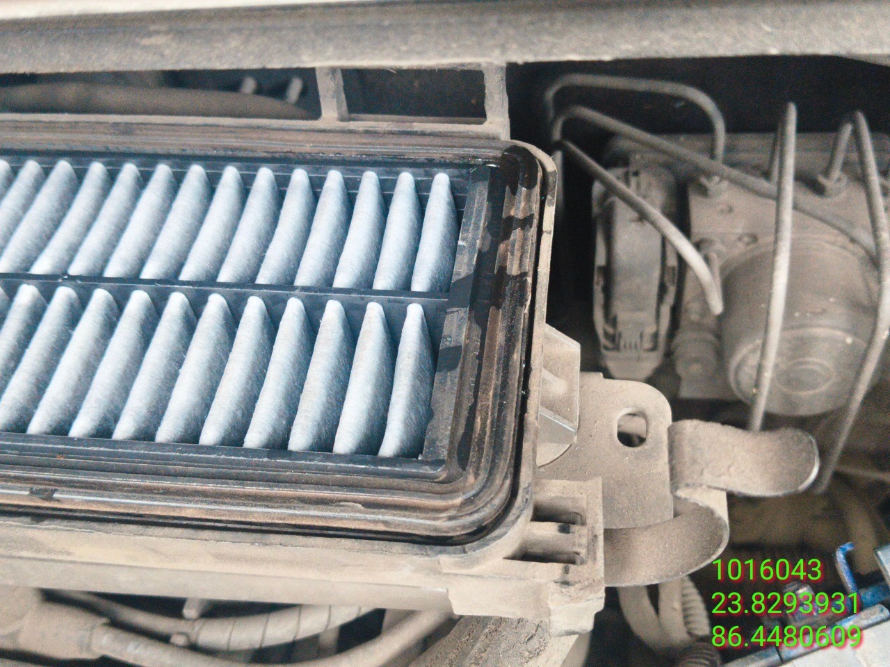 thumb
