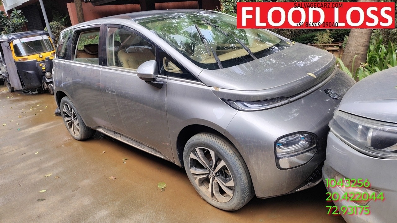 MG MORRIS GARAGES WINDSOR ESSENCE PRO T02 2026 ELECTRIC