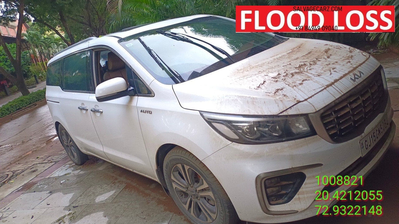 KIA MOTORS CARNIVAL LIMOUSINE PLUS AT 2023 DIESEL AT
