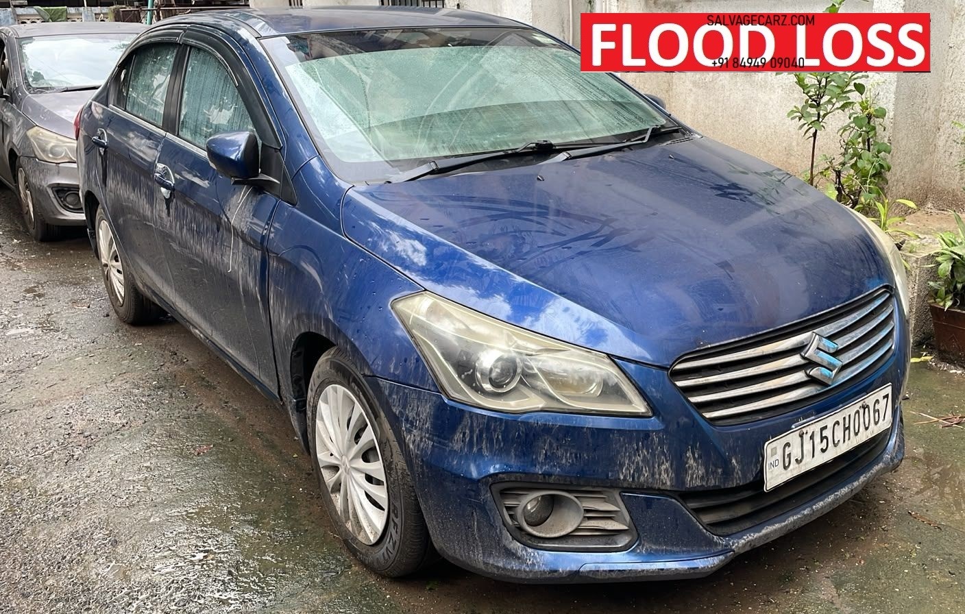 MARUTI DMaruti Suzuki Ciaz DELTA 2018 PETROL