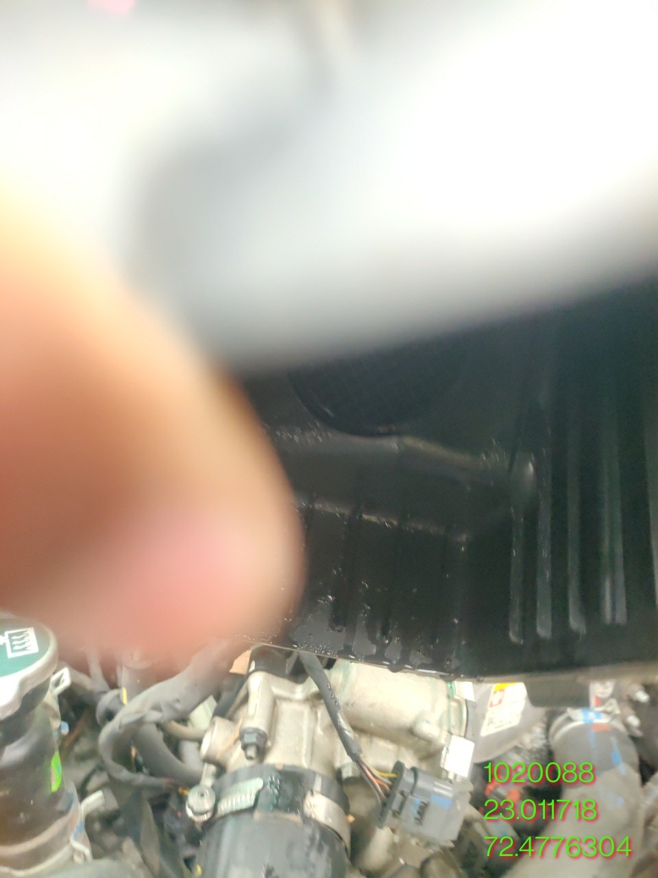thumb
