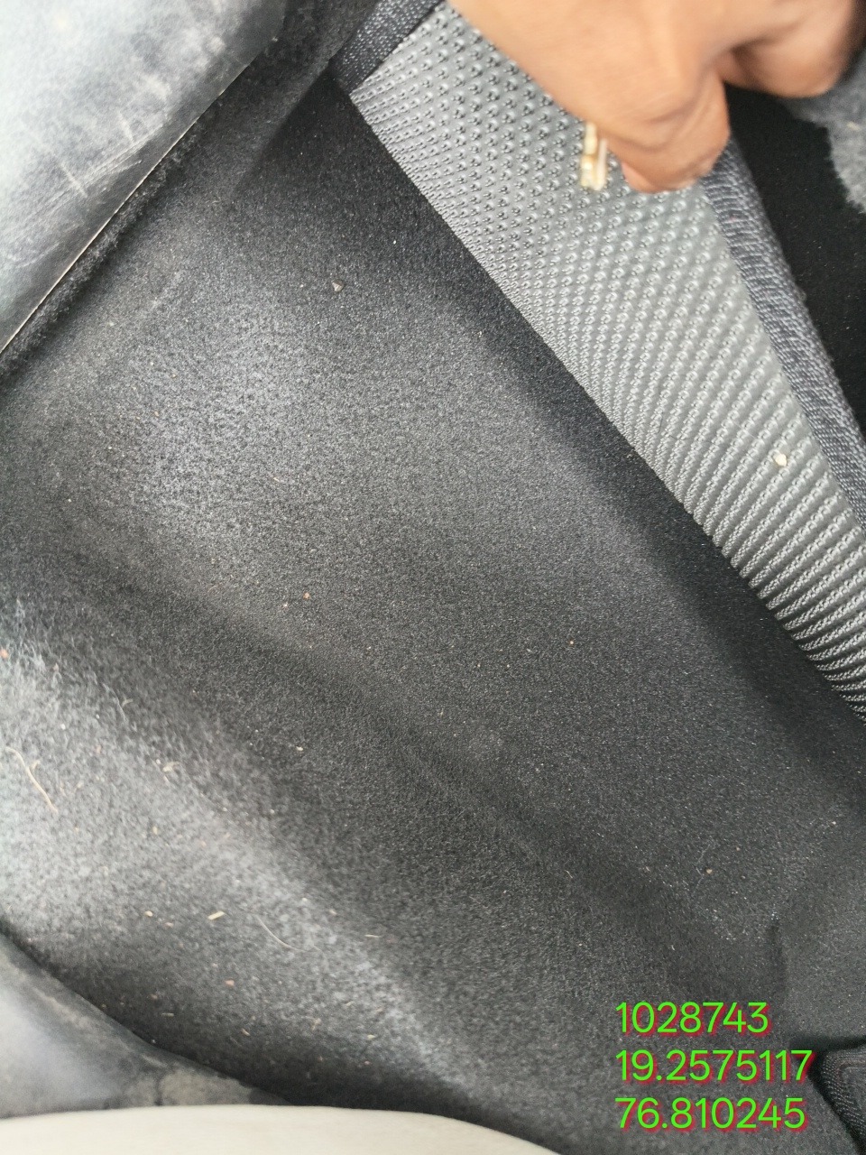 thumb
